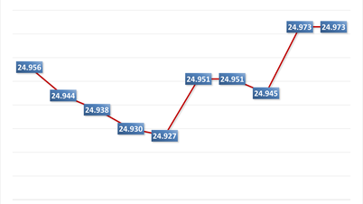Morning of May 14: Central exchange rate stable