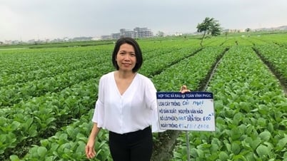 Ingénieure passionnée par la production de légumes propres