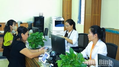 Ensuring the information "blood vessels" operate stably and smoothly during the process of arranging and organizing the operation of 2-level local government.