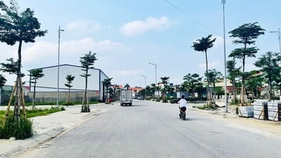 Nouveau regard sur la patrie de la mère du président Ho Chi Minh