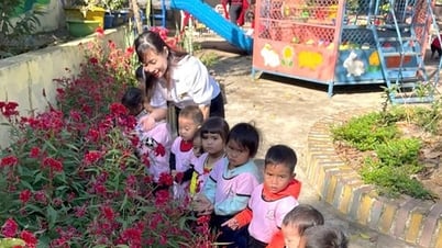 Quang Tri យឺតយ៉ាវ​ក្នុង​ការ​ពិចារណា​លើក​កម្ពស់​មុខ​តំណែង​វិជ្ជាជីវៈ​សម្រាប់​គ្រូ