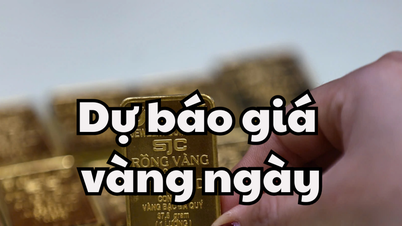 Dự báo giá vàng ngày mai 15/5/2025 Giá vàng trong nước hồi phục lại về mốc 121 triệu đồng/lượng, vàng thế giới đạt 3300 USD