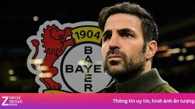 ¿Sustituirá Fábregas a Alonso en el Leverkusen?
