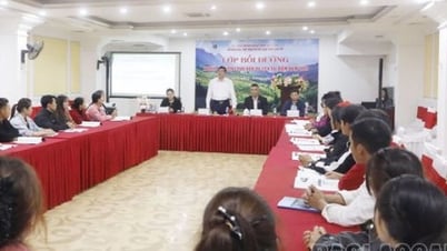 Lào Cai: Bồi dưỡng nghiệp vụ hướng dẫn viên tại điểm năm 2025