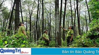 Strengthening forest fire prevention and fighting in hot season