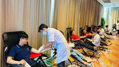 Gần 20 khách sạn hưởng ứng chương trình hiến máu tại Novotel Nha Trang