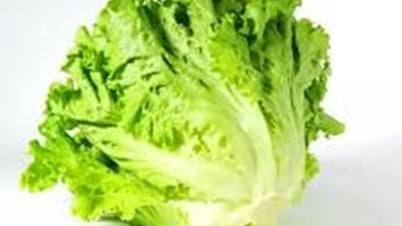 Trường hợp nào không nên dùng rau xà lách?