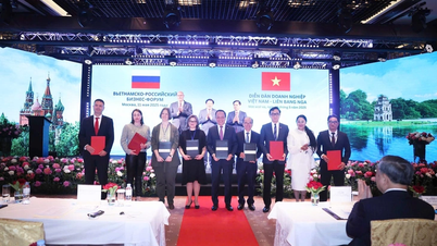 Saigontourist Group ký loạt thỏa thuận hợp tác chiến lược tại Nga, thúc đẩy du lịch hai chiều