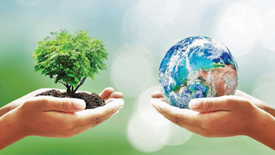 La relación entre el medio ambiente y la salud
