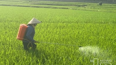 សត្វល្អិត និងជំងឺជាច្រើនប្រភេទកើតឡើងនៅរដូវផ្ការីក។