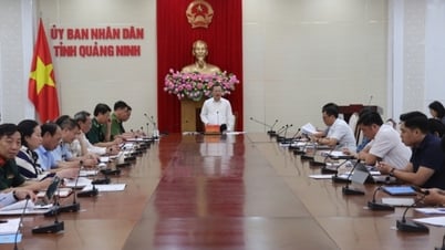 Kiên quyết xử lý nghiêm các hành vi có dấu hiệu tội phạm vi phạm pháp luật về hàng giả và an toàn thực phẩm