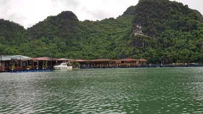 Khách quốc tế chèo kayak ngắm làng chài nổi trong lòng di sản thế giới