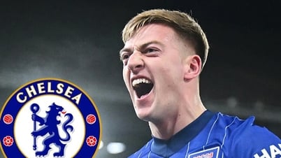 Chelsea đánh bật MU khỏi thương vụ Liam Delap