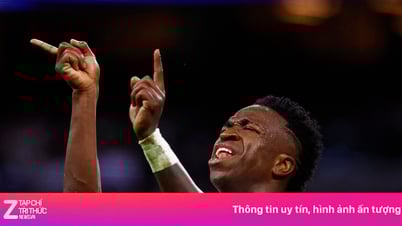 Vinicius thách thức FIFA