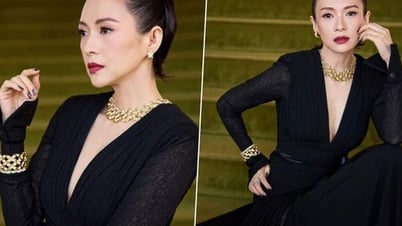 Zhang Ziyi brilla con un diseño de Cong Tri en la Gala de los Premios Gold House.