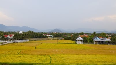 Quy định về mức nộp tiền để Nhà nước bổ sung diện tích đất chuyên trồng lúa bị mất hoặc tăng hiệu quả sử dụng đất trồng lúa trên địa bàn tỉnh Khánh Hòa