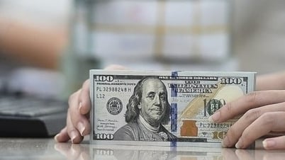 Tỷ giá VND/USD tại nhiều ngân hàng và thị trường tự do ổn định