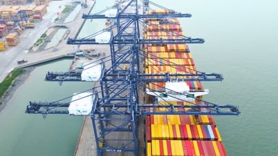 Super ship MSC OLIVER docks at SSIT port, directly connecting Vietnam - US