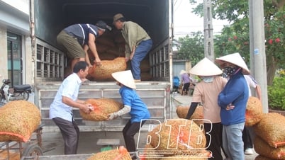 Vũ An: Đẩy mạnh liên kết sản xuất và tiêu thụ sản phẩm