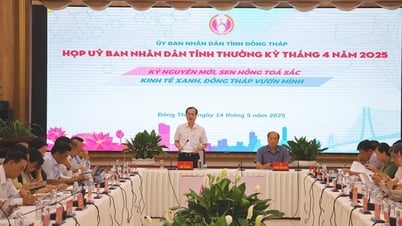ស្ថានភាពសេដ្ឋកិច្ចសង្គមរបស់ខេត្តបន្តផ្លាស់ប្តូរជាវិជ្ជមានលើវិស័យជាច្រើន។