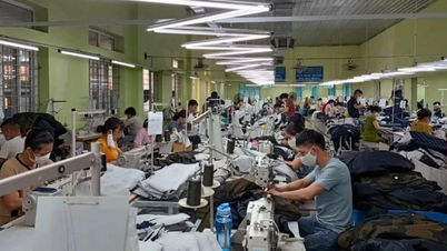 Hạn chế rủi ro trong xuất khẩu dệt may