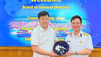 Thúc đẩy hợp tác giữa TCTT, COSCO Việt Nam và Sailun Group