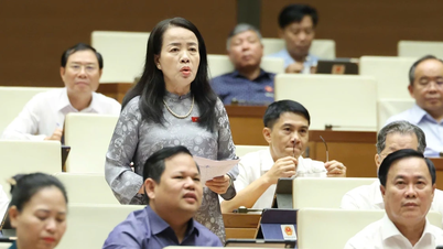 人民評議会代表者の質問権限は狭められないようにすることが推奨される。