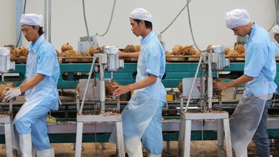 Aspiration to develop the coconut industry sustainably