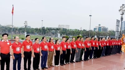 Liên hiệp Các tổ chức hữu nghị tỉnh Nghệ An dâng hoa tại Quảng trường Hồ Chí Minh