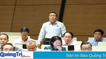 National Assembly Deputy Ha Sy Dong commented on the draft Resolution of the National Assembly amending a number of articles of the Constitution.