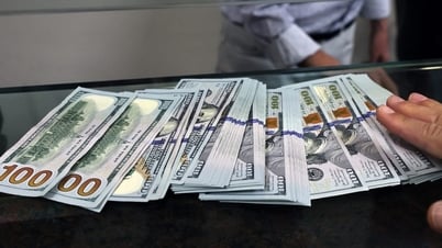 អត្រាប្តូរប្រាក់ USD ថ្ងៃនេះ (ថ្ងៃទី 14 ឧសភា): USD ធ្លាក់ចុះបន្ទាប់ពីទិន្នន័យអតិផរណា