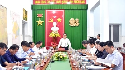 Checking the preparation of the congress and arranging the organizational apparatus in Cau Ngang district