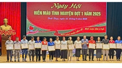 ไทยทวี : บริจาคโลหิตได้ 298 ยูนิต ในวันบริจาคโลหิตสมัครใจ