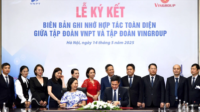 VNPT y Vingroup cooperan de manera integral, promoviendo la transformación digital y la transformación verde.