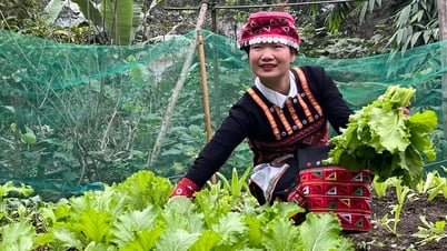 ក្មេងស្រី Xa Pho បង្កើតជីវភាពពីបណ្តាញសង្គម