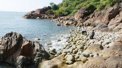 Chefs-d'œuvre naturels : Symphonie de rochers, de vagues et de légendes