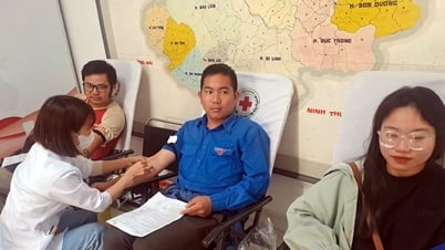 Đà Lạt vận động tiếp nhận 145 đơn vị máu
