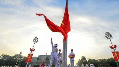 4 Formen der Organisation der Zeremonie zum Hissen und Einholen der Nationalflagge auf dem Ba-Dinh-Platz