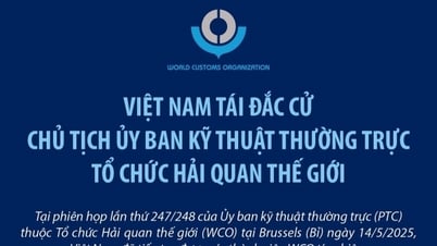 [Infographics] Việt Nam tái đắc cử Chủ tịch Ủy ban kỹ thuật thường trực Tổ chức Hải quan thế giới