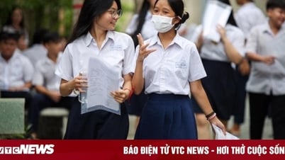 أعلنت مدينة هوشي منه عن عدد المرشحين المسجلين في الاختيار الأول لامتحان الصف العاشر