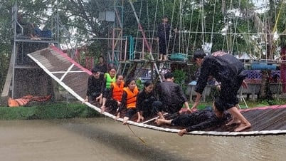 Dong Thap desarrolla el turismo para garantizar un crecimiento de dos dígitos