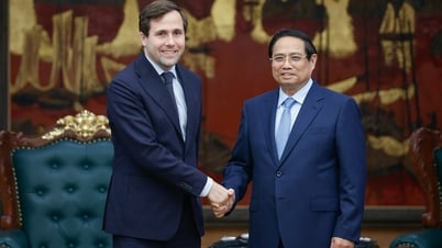 Förderung der strategischen Zusammenarbeit zwischen Vietnam und Schweden im Bereich grüne Transformation, digitale und nachhaltige Entwicklung