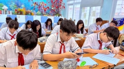 Ho Chi Minh City announces 10th grade competition ratio