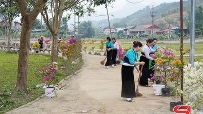កែលម្អគុណភាពនៃលក្ខណៈវិនិច្ឆ័យបរិស្ថាន