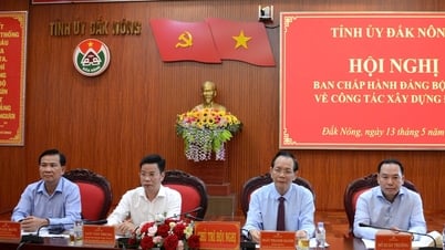 Đắk Nông quyết định kết thúc hoạt động đảng bộ cấp huyện và cấp xã từ 1/7/2025