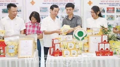 Khoai Chau에는 3성 OCOP 제품이 8개 더 있습니다.