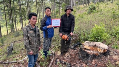 성 인민위원회는 불법 산림 착취 사례를 적발하고 조사하는 데 공로가 있는 1개 단체와 6명의 개인에게 공로증을 수여했습니다.