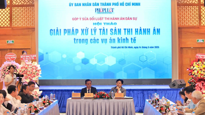 Cục trưởng Cục THADS TPHCM chia sẻ kinh nghiệm thi hành án vụ Trương Mỹ Lan