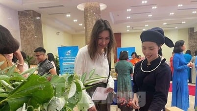 랑손 여성들의 빈곤 탈출 비결, 지역 특산품으로 사업 시작