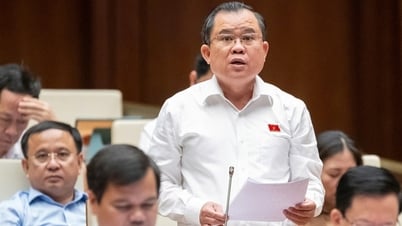 Cần xây dựng cơ chế phối hợp liên ngành xử lý các trường hợp quảng cáo xuyên biên giới vi phạm pháp luật tại Việt Nam